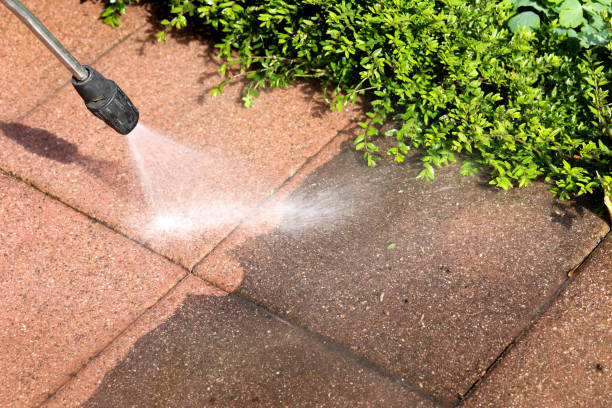 Best Roof Pressure Washing  in Carefree, AZ